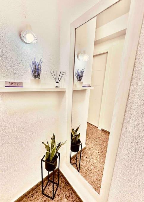Citadella Apartment Sagunto 外观 照片