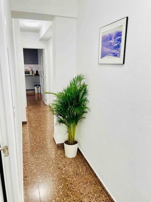 Citadella Apartment Sagunto 外观 照片